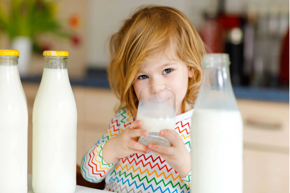 مصرف شیر گاو برای کودکان