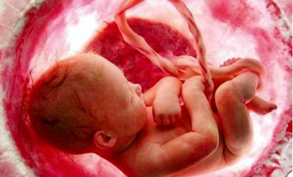 کم خونی در بارداری و تاثیر آن بر جنین و آمارهای مربوط به آن