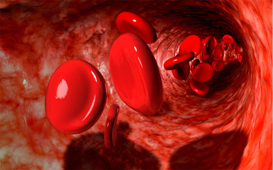 عوارض پایین بودن پلاکت خون در بارداری