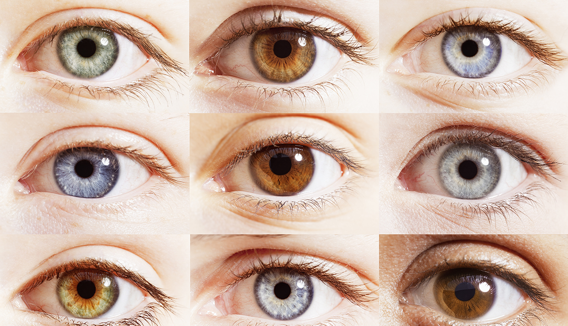 چند نوع رنگ چشم وجود دارد