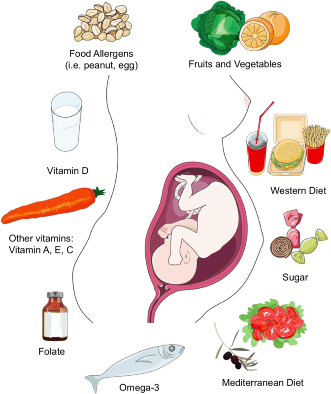 ویتامین‌های مورد نیاز دوران بارداری چیست؟