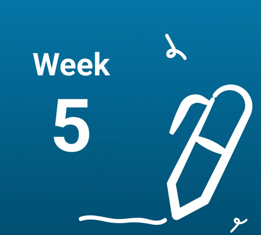 آشنایی با رخدادهای هفته پنجم بارداری (هفته 5 حاملگی)