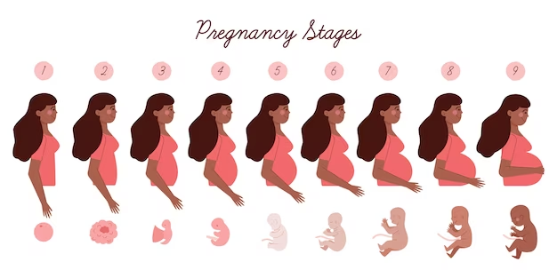 تغییرات بدن مادر طی دوران بارداری و زایمان