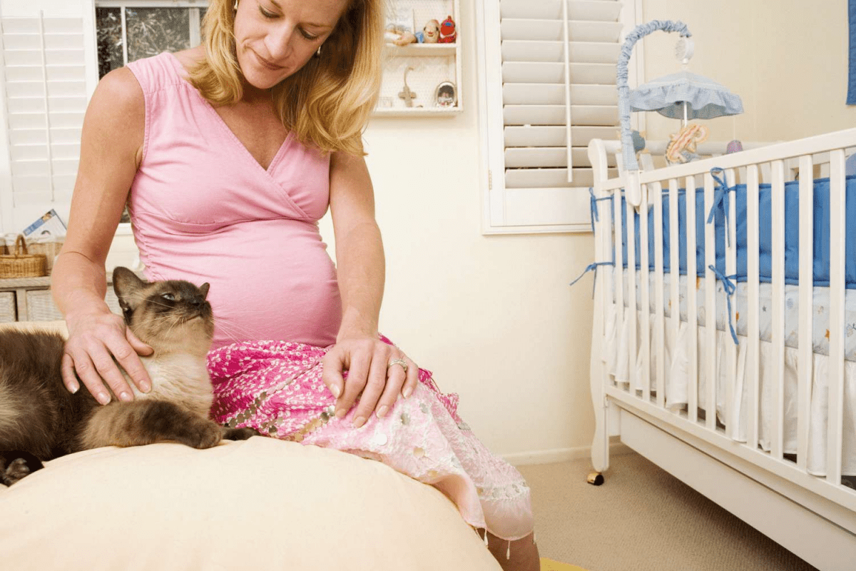 آیا گربه‌ها حیوانات خانگی ایمنی در دوران بارداری هستند؟