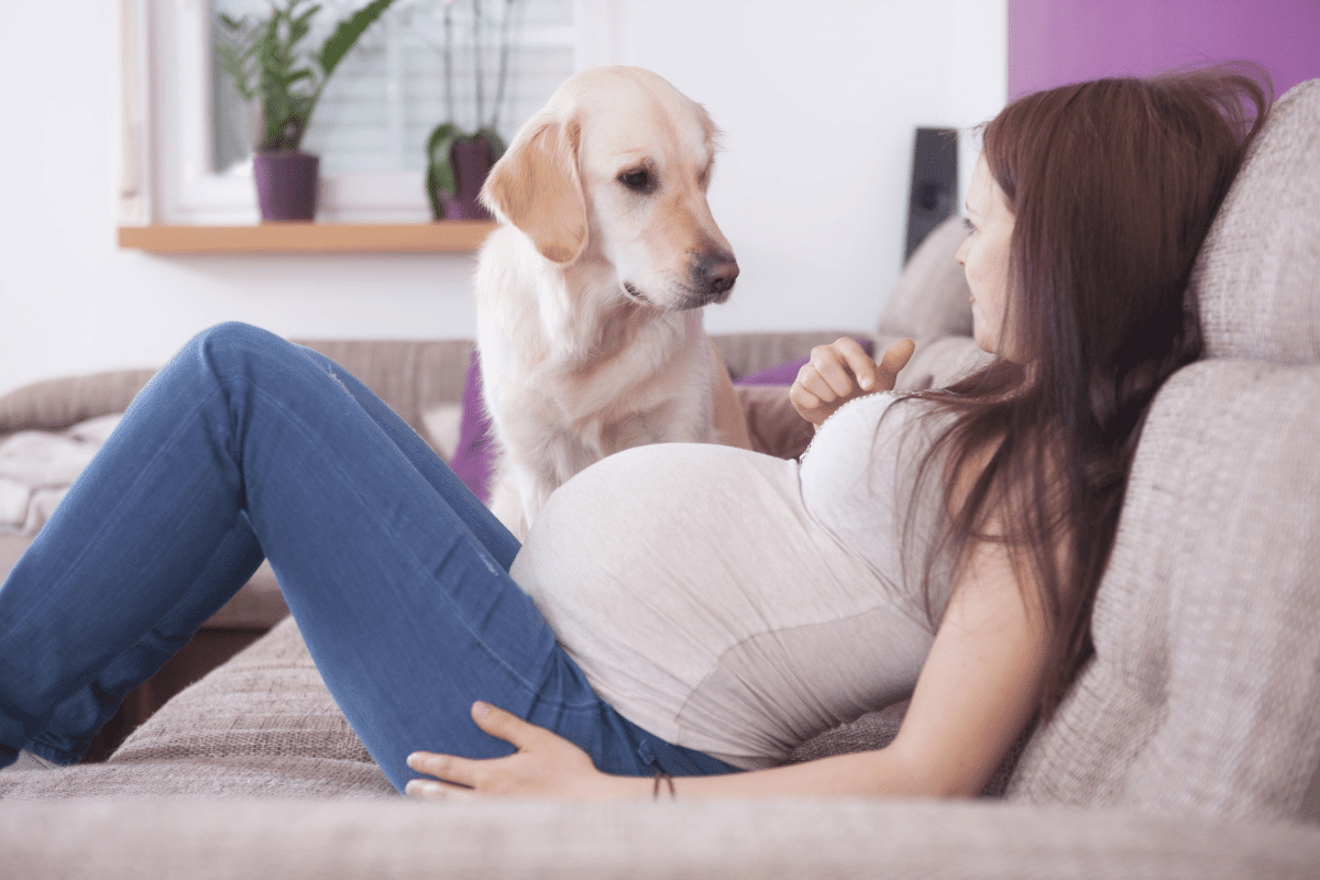 چالش‌های نگهداری از حیوانات خانگی در بارداری