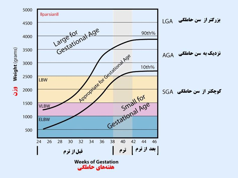 چرا اسکن رشد جنین لازم است؟