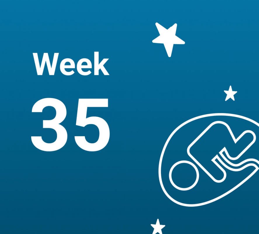 آشنایی با رخدادهای هفته سی و پنجم بارداری (هفته 35 حاملگی)