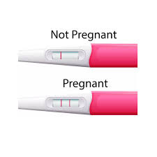 چه مدت طول ‌می‌کشد تا نتیجه آزمایش بارداری به دست آید؟